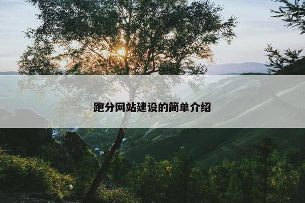 跑分网站建设的简单介绍