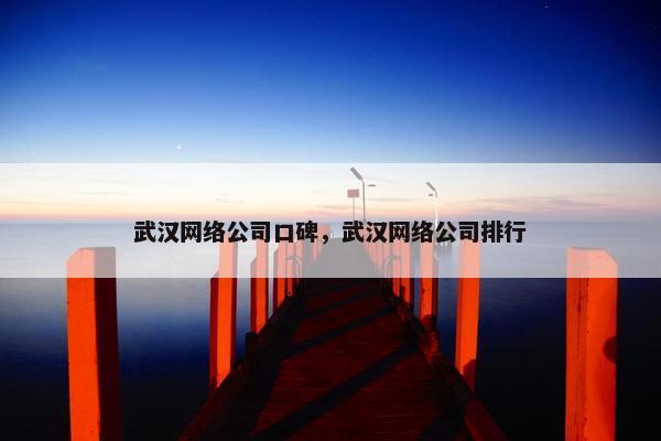 武汉网络公司口碑，武汉网络公司排行