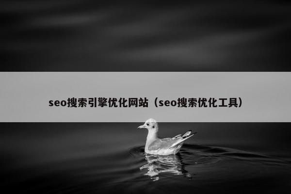 seo搜索引擎优化网站（seo搜索优化工具）