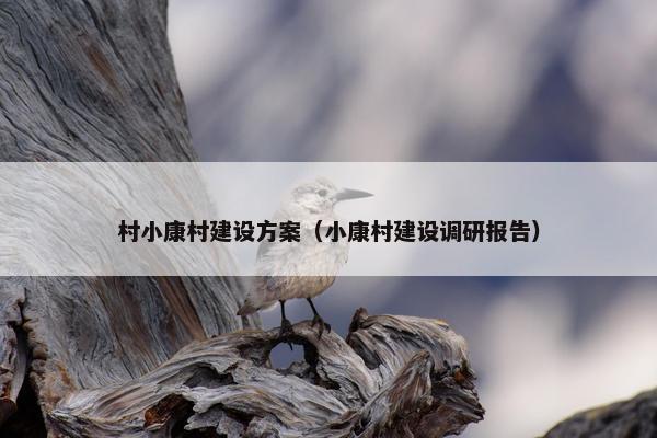 村小康村建设方案（小康村建设调研报告）