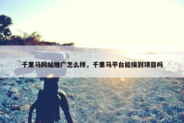 千里马网站推广怎么样，千里马平台能接到项目吗