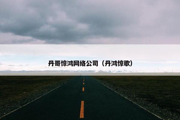 丹哥惊鸿网络公司（丹鸿惊歌）