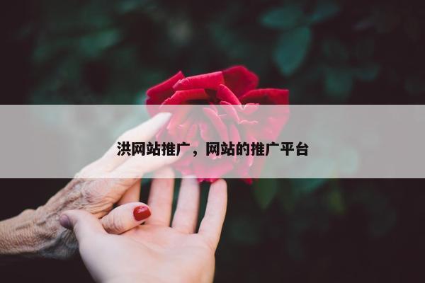洪网站推广，网站的推广平台