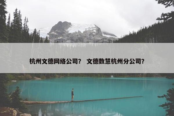 杭州文德网络公司？ 文德数慧杭州分公司？