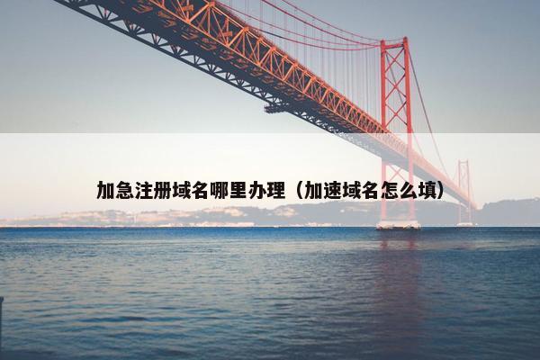加急注册域名哪里办理（加速域名怎么填）
