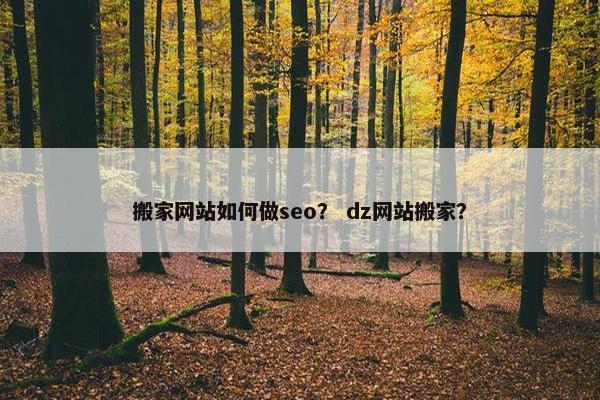 搬家网站如何做seo？ dz网站搬家？