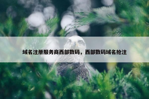 域名注册服务商西部数码，西部数码域名抢注