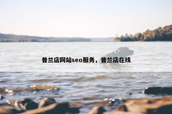 普兰店网站seo服务，普兰店在线