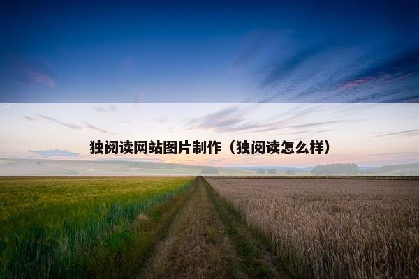 独阅读网站图片制作（独阅读怎么样）