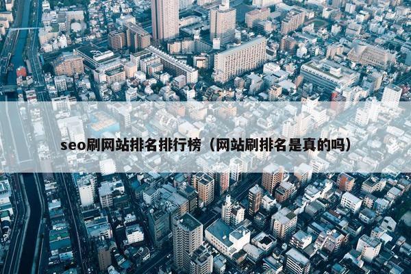 seo刷网站排名排行榜（网站刷排名是真的吗）