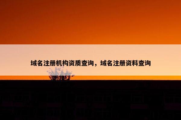 域名注册机构资质查询，域名注册资料查询