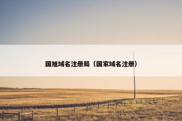 国旭域名注册局（国家域名注册）