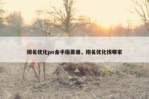 排名优化po金手指靠谱，排名优化找哪家