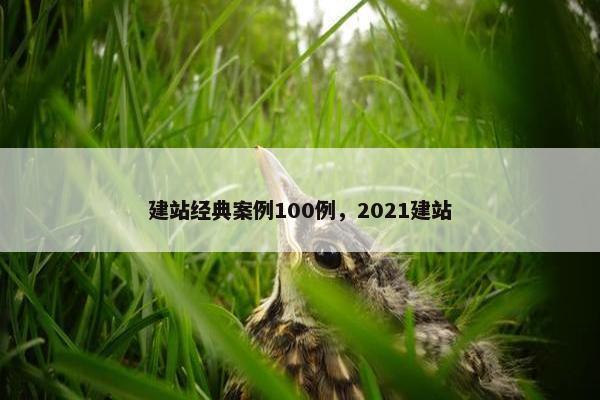 建站经典案例100例，2021建站