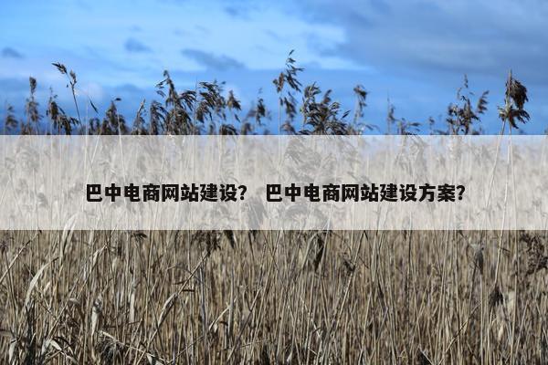 巴中电商网站建设？ 巴中电商网站建设方案？