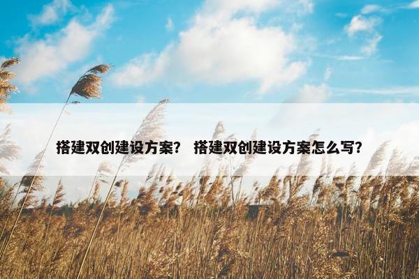 搭建双创建设方案？ 搭建双创建设方案怎么写？