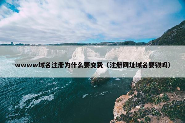 wwww域名注册为什么要交费（注册网址域名要钱吗）