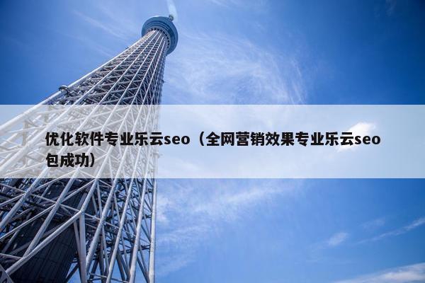 优化软件专业乐云seo（全网营销效果专业乐云seo包成功）