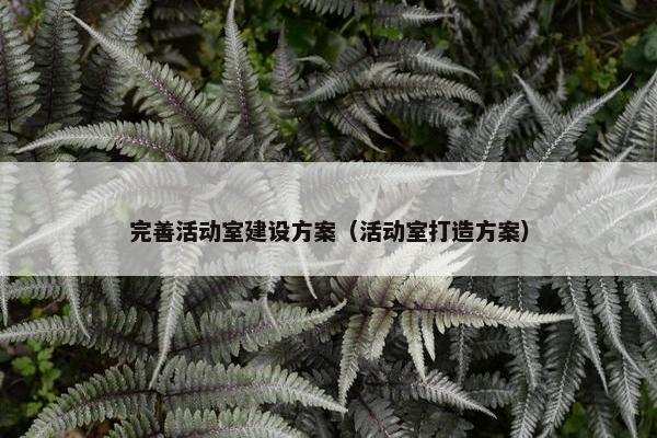 完善活动室建设方案（活动室打造方案）
