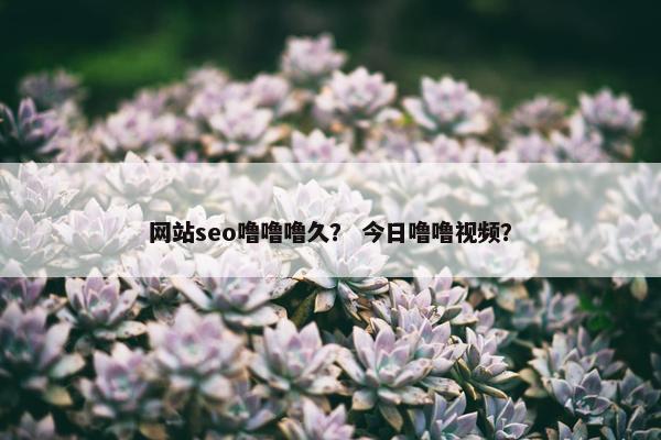 网站seo噜噜噜久？ 今日噜噜视频？