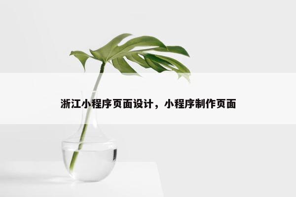 浙江小程序页面设计，小程序制作页面