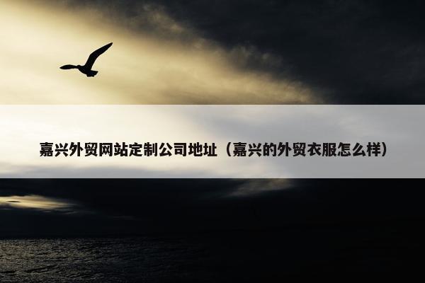 嘉兴外贸网站定制公司地址（嘉兴的外贸衣服怎么样）