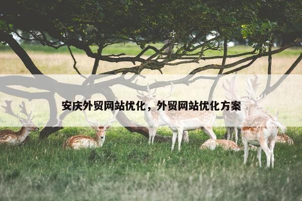 安庆外贸网站优化，外贸网站优化方案