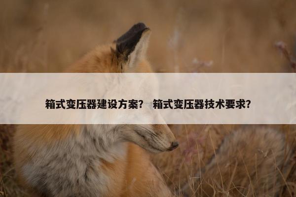 箱式变压器建设方案？ 箱式变压器技术要求？