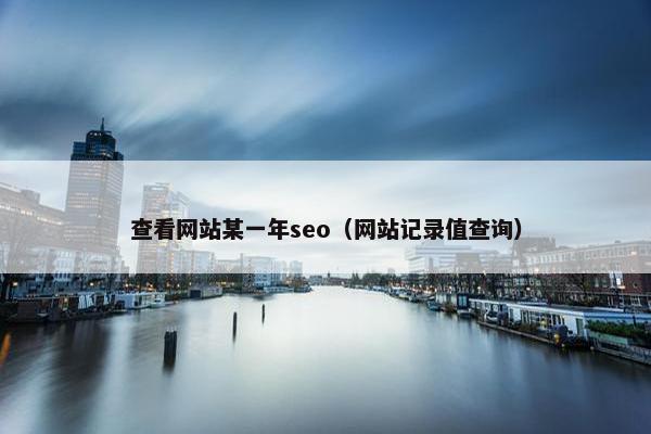 查看网站某一年seo（网站记录值查询）