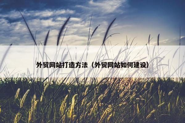 外贸网站打造方法（外贸网站如何建设）