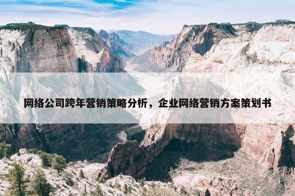 网络公司跨年营销策略分析，企业网络营销方案策划书