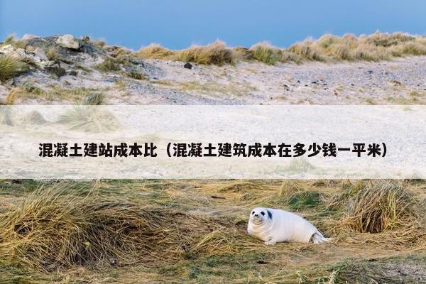 混凝土建站成本比（混凝土建筑成本在多少钱一平米）