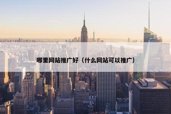 哪里网站推广好（什么网站可以推广）