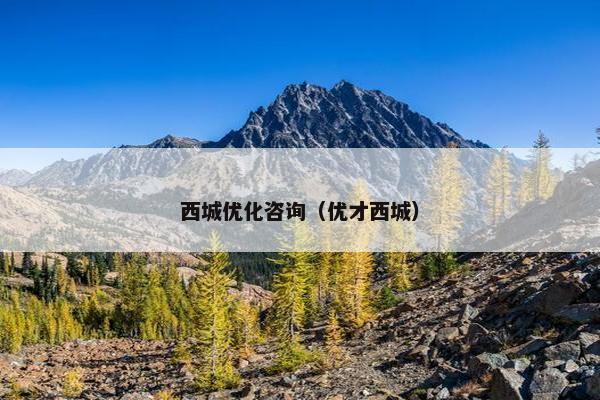 西城优化咨询（优才西城）