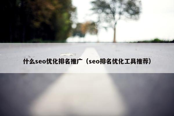 什么seo优化排名推广（seo排名优化工具推荐）