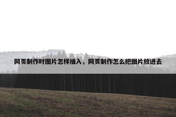 网页制作时图片怎样插入，网页制作怎么把图片放进去