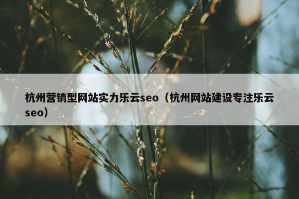 杭州营销型网站实力乐云seo（杭州网站建设专注乐云seo）