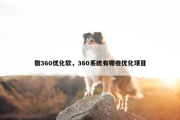 做360优化软，360系统有哪些优化项目