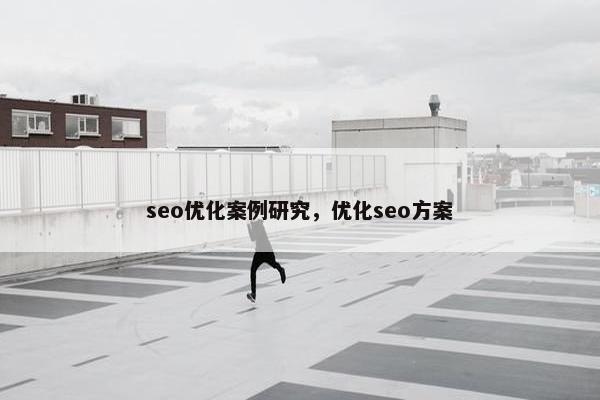 seo优化案例研究，优化seo方案