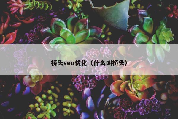 桥头seo优化（什么叫桥头）