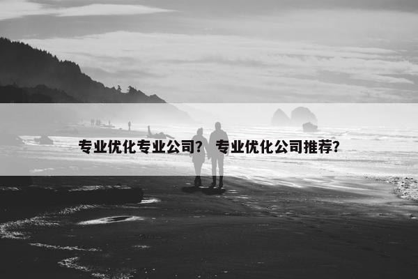 专业优化专业公司？ 专业优化公司推荐？