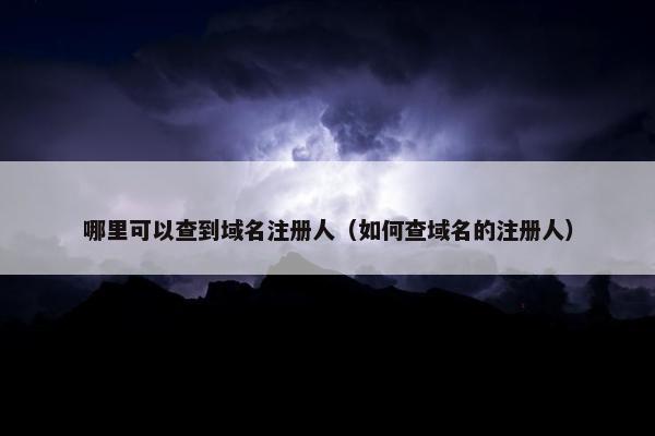 哪里可以查到域名注册人（如何查域名的注册人）