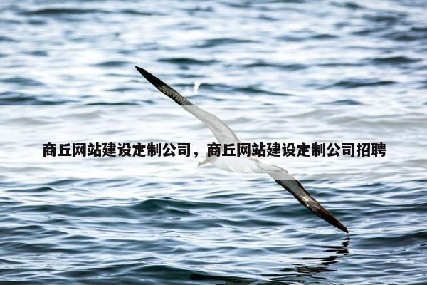 商丘网站建设定制公司，商丘网站建设定制公司招聘