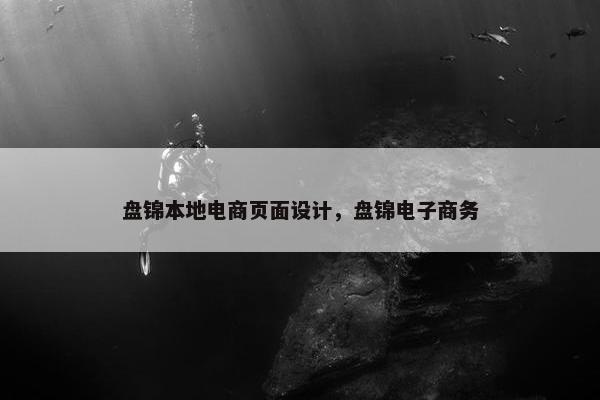 盘锦本地电商页面设计，盘锦电子商务