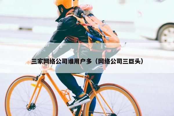 三家网络公司谁用户多（网络公司三巨头）