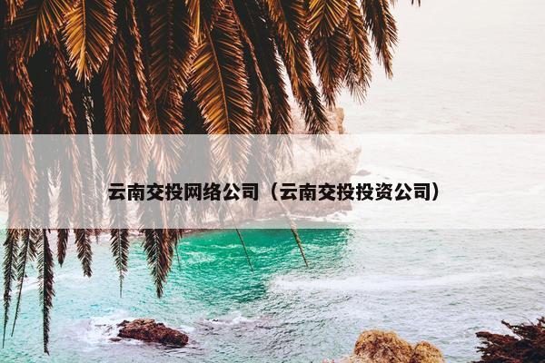 云南交投网络公司（云南交投投资公司）