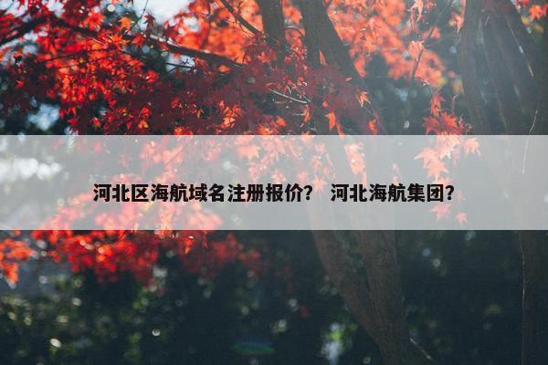 河北区海航域名注册报价？ 河北海航集团？