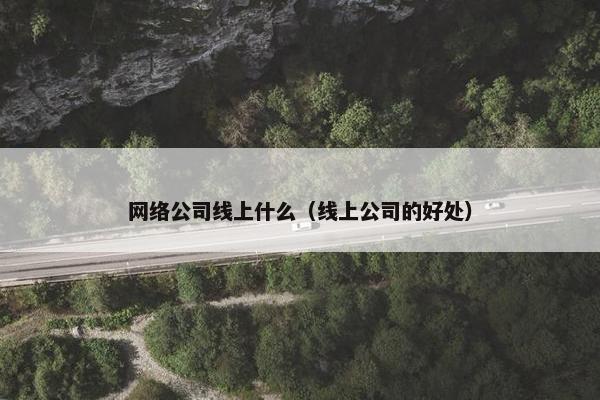 网络公司线上什么（线上公司的好处）