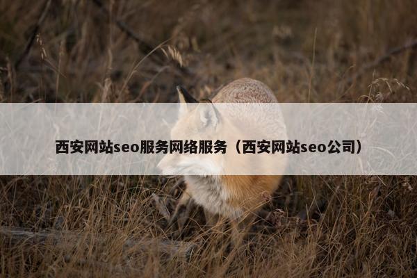 西安网站seo服务网络服务（西安网站seo公司）