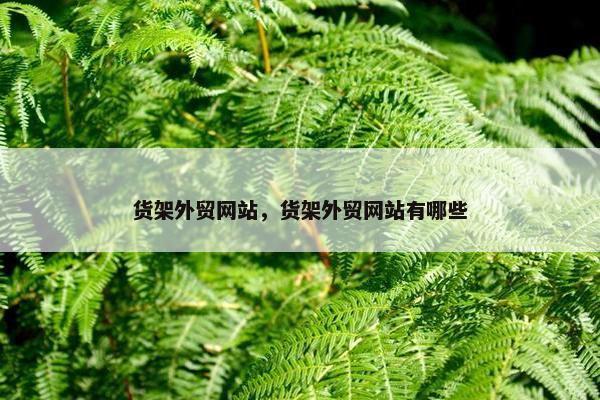 货架外贸网站，货架外贸网站有哪些